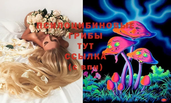 apvp Беломорск
