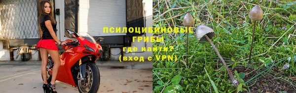 прущая мука Белокуриха