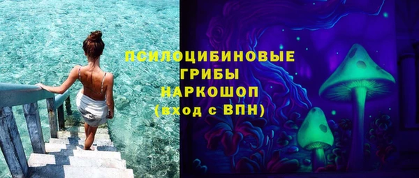 мескалин Богородицк
