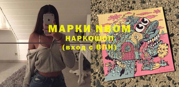 индика Баксан