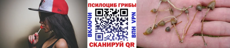 Галлюциногенные грибы прущие грибы  MEGA ТОР  Балей 